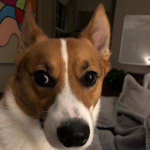 Meet your Posher, Kathleen